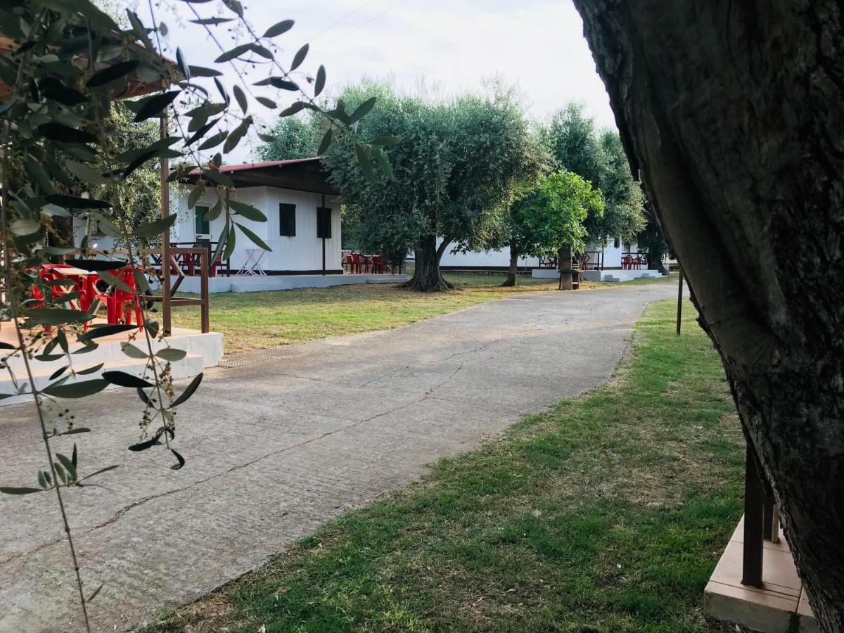 Funno Delle Noci Hotel Peschici Kültér fotó
